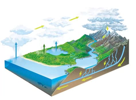 水循环类型及主要环节示意图 - 高中地理图片 - 地理教师网