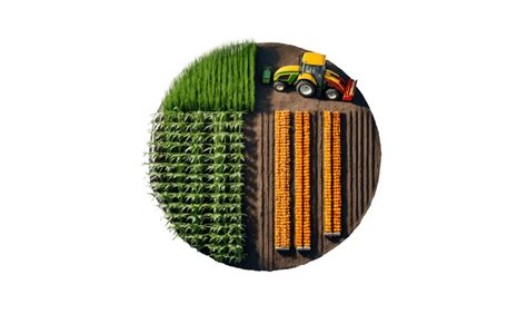 Agriculture PNG 的图像结果