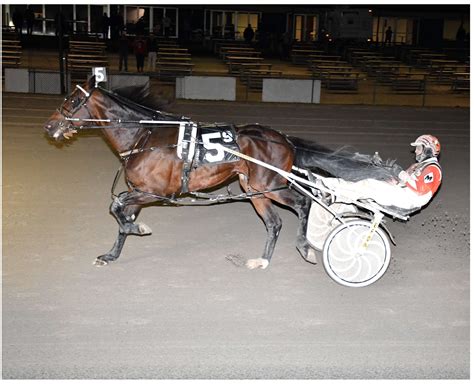 Rock Solid Express wins feature at Vernon - U.S. Trotting News