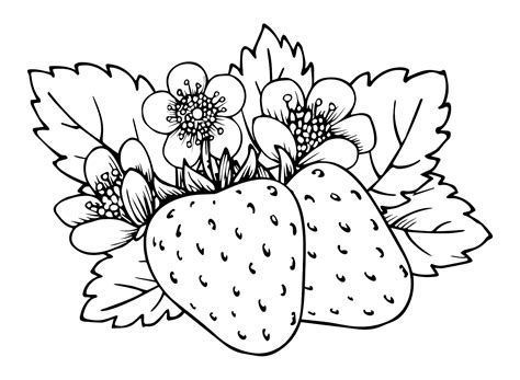 Coloring Pages Of Strawberries - Jenny Printable