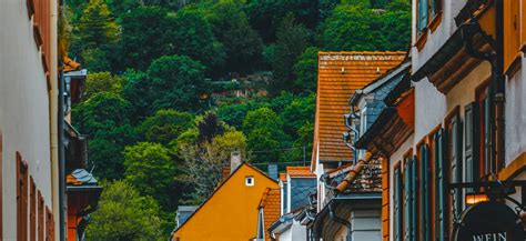 Uncover Historic Heidelberg and Majestic Auerbach Castle - Klook India