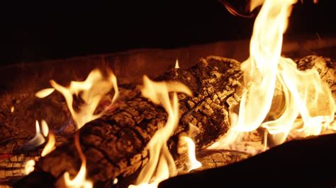 Image result for Long Log Fire