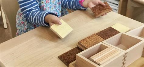 AIPS | Resources | Montessori Materials Spotlight - Baric Tablets