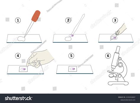 Image result for Microscope Slide Techniques
