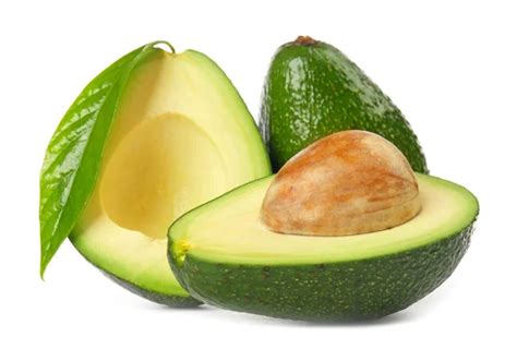 Image result for Simple Avacodo
