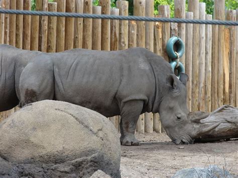 Utahs Hogle Zoo, salt lake city, United States Of America - Top ...