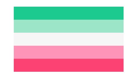 A Comprehensive Guide to Pride Flags and their Meanings | SFGMC