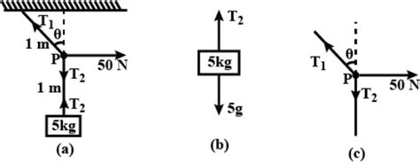 A mass of 5 kg is suspended by a rope of length 2 m from the ceiling. A ...