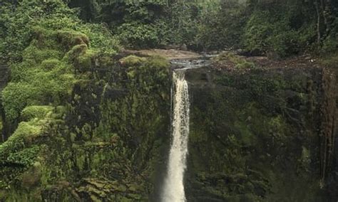 Ogooue-Ivindo Province Tourism (2023): Best of Ogooue-Ivindo Province ...