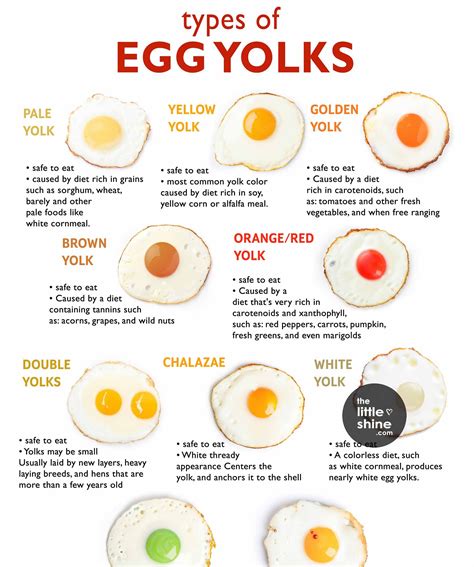 Egg Yolk Colors Chart - The Little Shine | Egg yolk, Egg nutrition ...