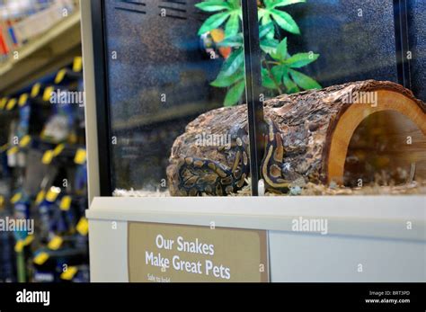 Image result for PetSmart Python