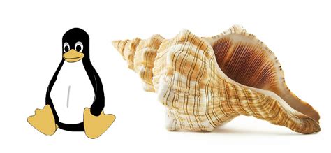 Image result for Linux Unix Shell