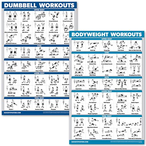 Buy QuickFit Dumbbell Workouts and Bodyweight Exercise Set - Laminated ...