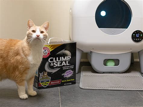Arm & Hammer Cat Litter As Low As $6 At Publix (Regular Price $15.99 ...