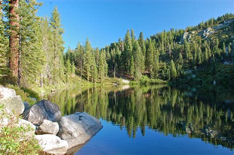 Travels with L (and sometimes Z & F): Bucks Lake, CA