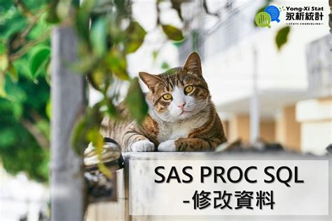 SAS Proc SQL 的图像结果