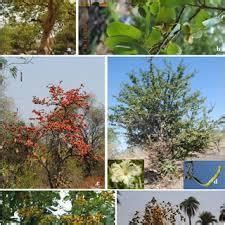 Karnataka Geographical Location - KPSC KAS Preparation All subjects - KPSC