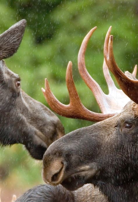 Phase 3 - Start Your New Job | U.S. Fish & Wildlife Service