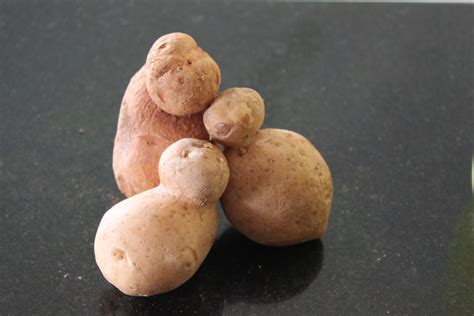 Prof.Abha Misra – Instrumentation and Applied Physics, IISc Bangalore