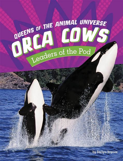 Orca Cows: Leaders of the Pod (Queens of the Animal Universe) : Jaycox ...