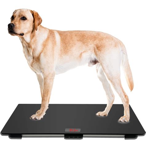 Amazon.com: MINDPET-MED Pet Scale for Large Dog, Dog Scale 31.5X 19.7 ...