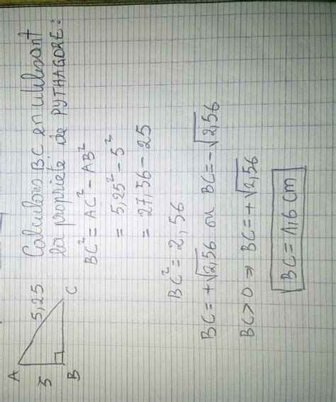 Le triangle ABC rectangle en B ci-dessous est tel que AB = 5 m et AC ...