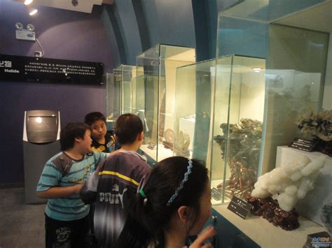 中国古动物馆春节期间的特展和科普活动----中国科学院