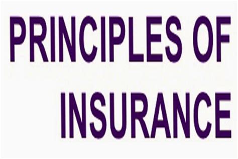 Image result for Explain Three Principles of Insurance