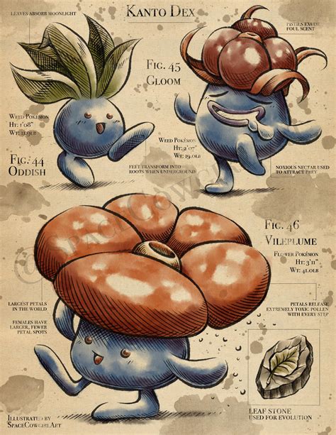 Image result for Oddish Evolution Level