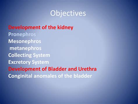SOLUTION: 7 development of urinary system - Studypool