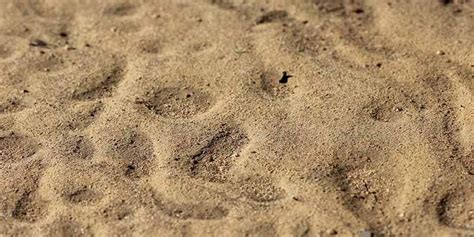 Terrenos blandos: el impacto del barro y la arena