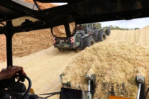 Zettelmeyer ZD 3000 auf dem Silo | agrarheute.com