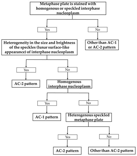 Discriminating between Homogeneous (AC-1) and Dense Fine Speckled (AC-2 ...