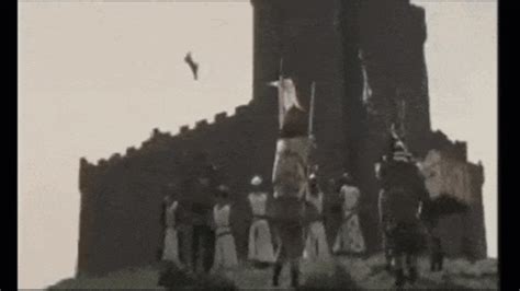 Image result for Python Cow Catapult