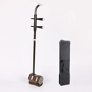 Image result for 2 Stringed Instrument