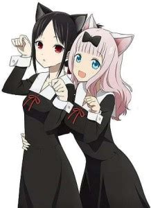Kaguya Sama Cat Ears Anime Girls Is Kaguya Love Sama War Matte Finish ...