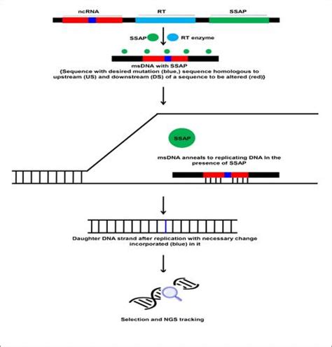 Comment Reprogrammer ADN 的图像结果
