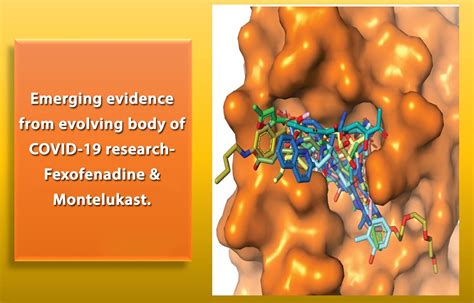 New updates in COVID-19 research: Emerging therapeutic role of ...