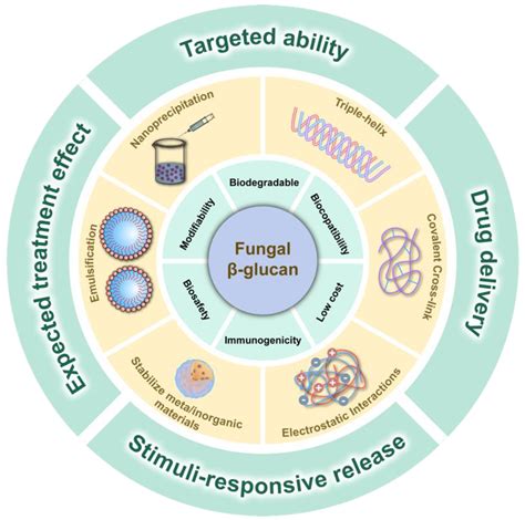 Fungal β-Glucan-Based Nanotherapeutics: From Fabrication to Application