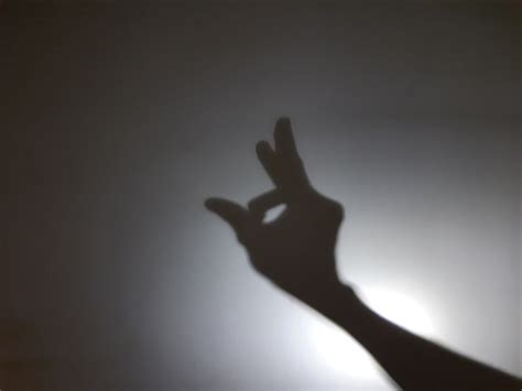 LIGHT, SHADOWS AND IMAGES: Can we guess the object by observing its ...