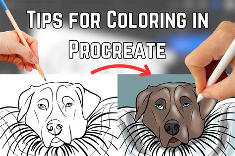 Image result for Procreate Coloring Tips