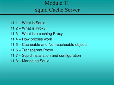 Image result for Squid Cache