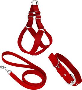 Dog Collars: Buy Dog Belts Online at Best Prices In India | Flipkart.com