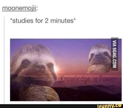 Knowledge Is Power Meme 的图像结果