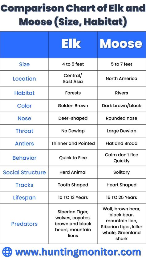 Elk vs Moose: Key Differences, Size Comparison, and Habitat