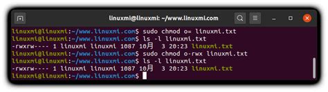 Chmod Command 的图像结果