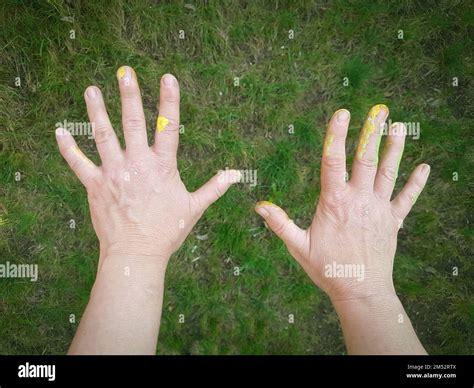 Touching Grass Tutorial 的图像结果