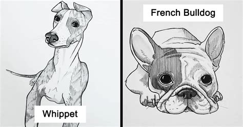 Cool Drawings of Dogs 的图像结果