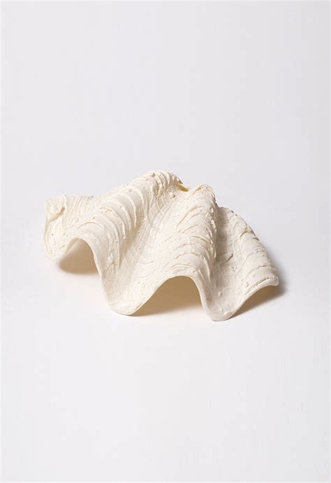 Shell Décor | Rangbagh