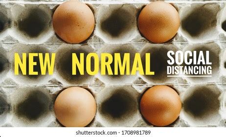 Image result for Normal Shell Warrantly